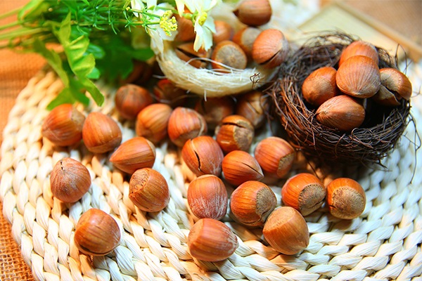 Плоди фундука є дуже корисними.