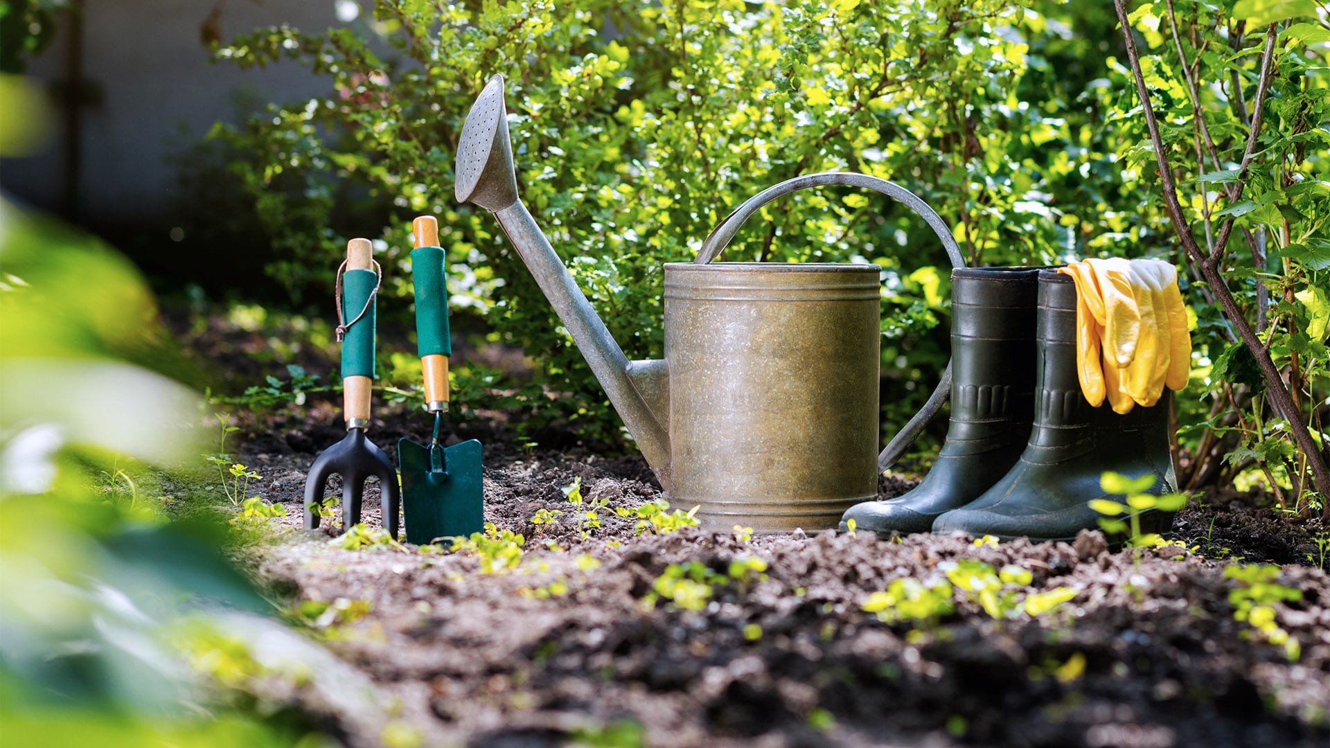 Календарь садовода: март, апрель, май. Весна на даче Календарь садовода: март, апрель, май. Весна на даче