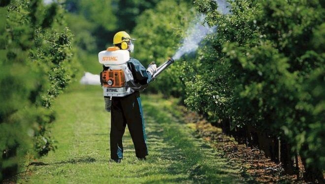 Обработка сада от вредителей, инфекций и болезней