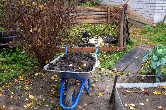 Подготовка почвы к посадке белокочанной капусты