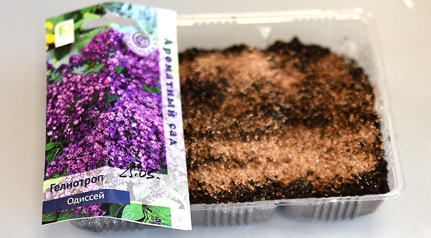 Для хорошої майбутньої кореневої системи важливий розмір контейнера