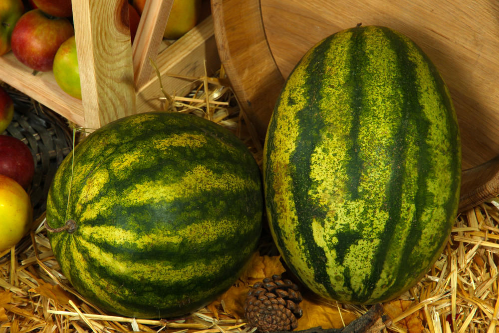 Основные способы хранения арбуза