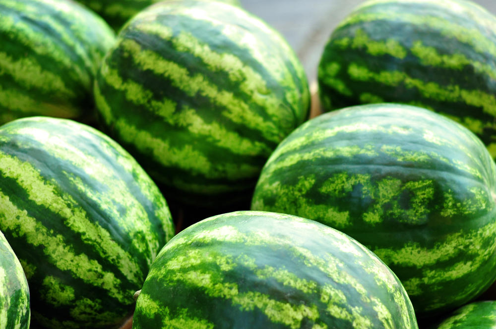 Как правильно выбрать арбуз