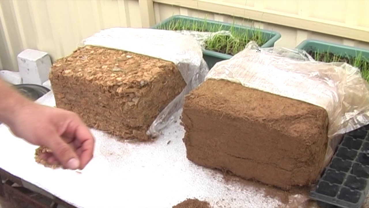 Кокосові субстрати для вирощування рослин