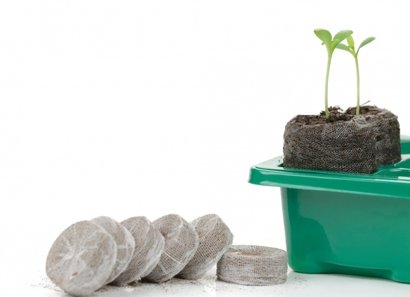 Кокосові таблетки — ефективний сучасний метод для вирощування розсади.