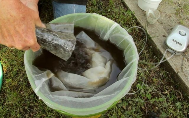 Рецепт приготовления аэрированного компостного чая Рецепт приготовления аэрированного компостного чая