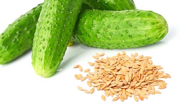 Перед посадкой следует открыть пачку и внимательно изучить семена огурцов. Перед посадкой следует открыть пачку и внимательно изучить семена огурцов.