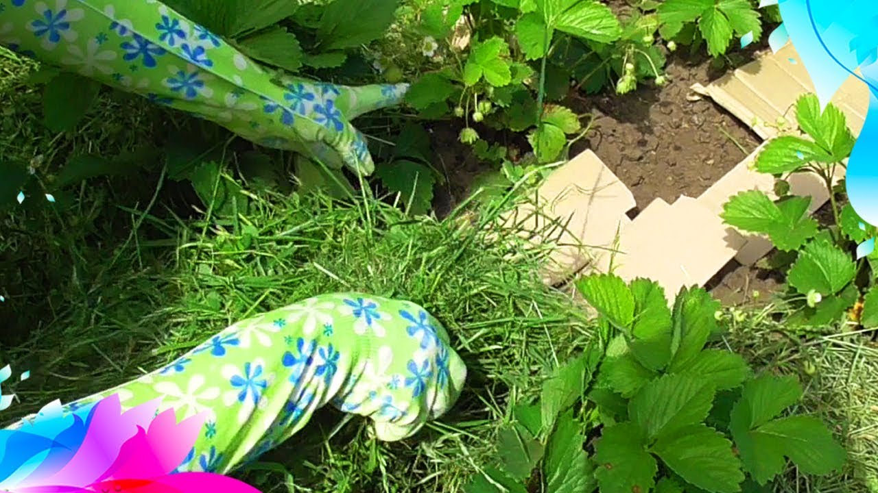 Мульчирование травой