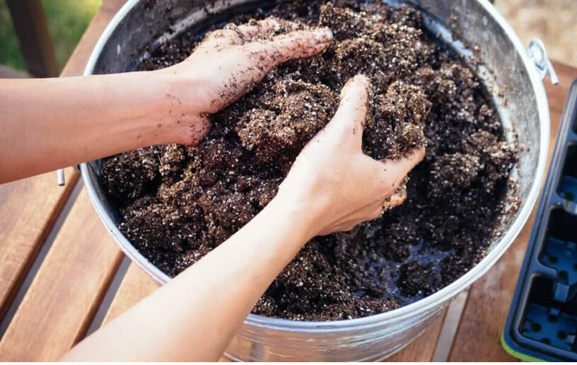 Преимущества использования торфа в садоводстве.