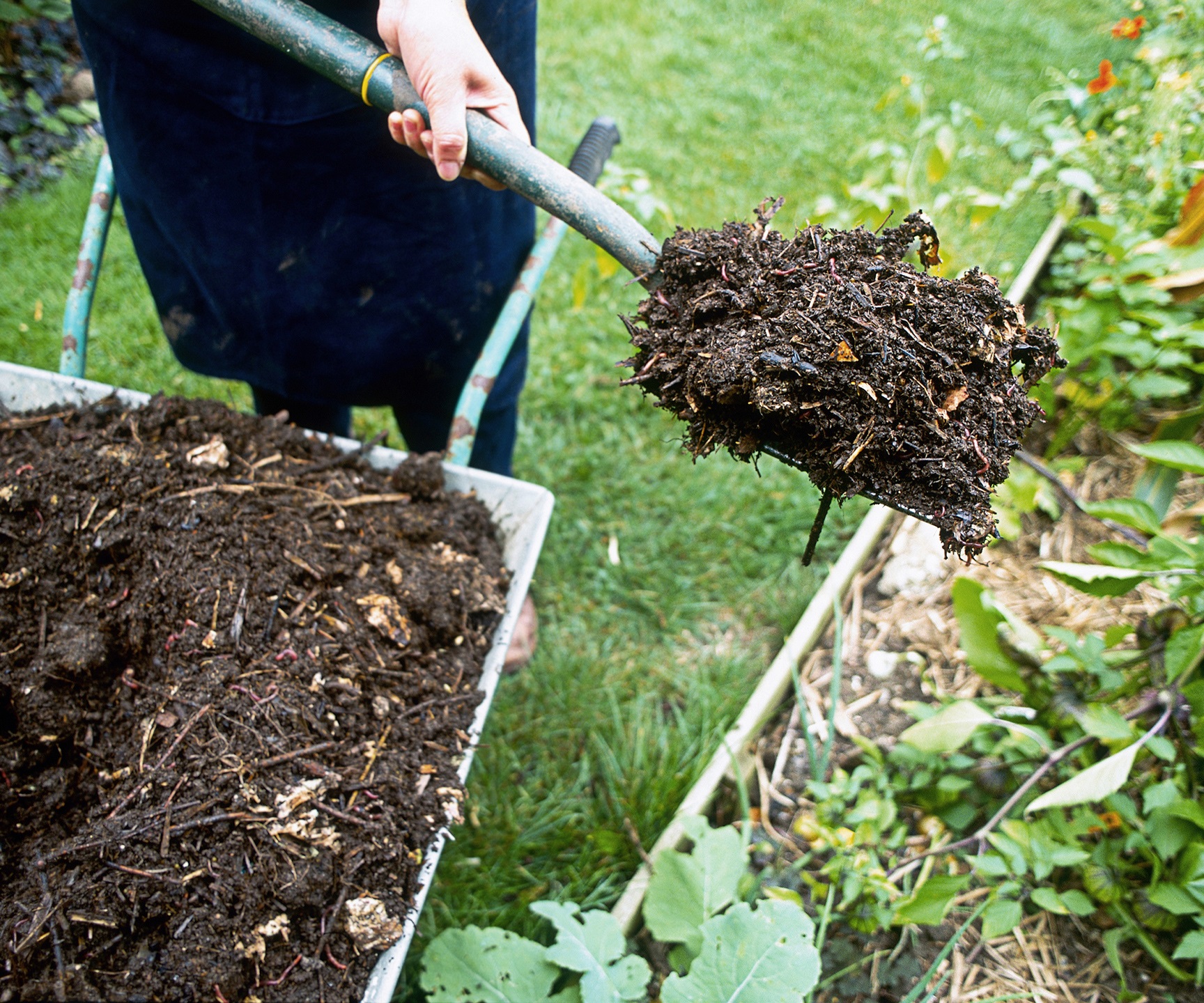 Использование органических удобрений