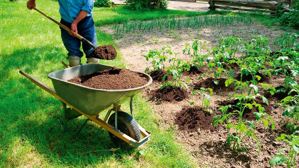 Преимущества использования навоза как органического удобрения