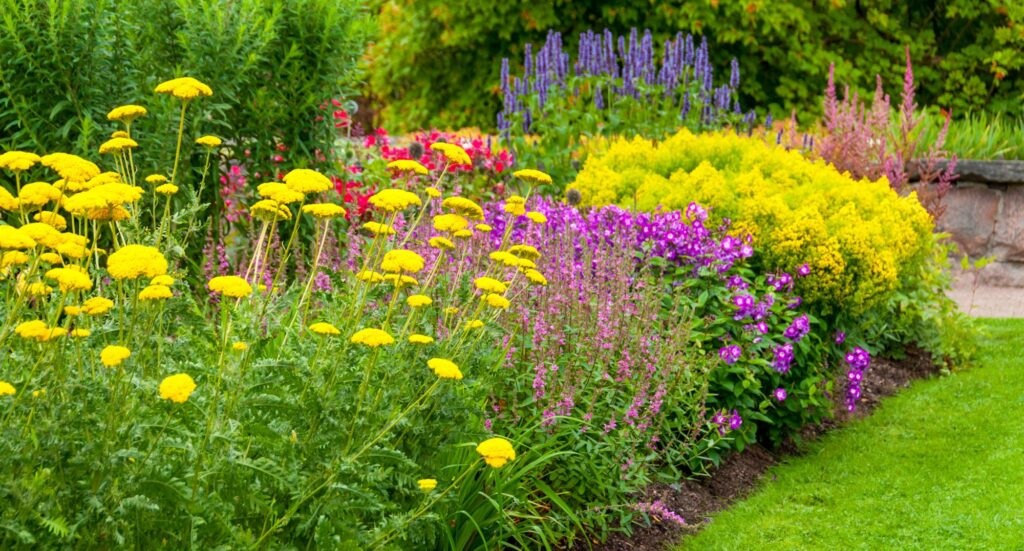 Для росту і повноцінного розвитку рослинам потрібні азот, фосфор та калий.