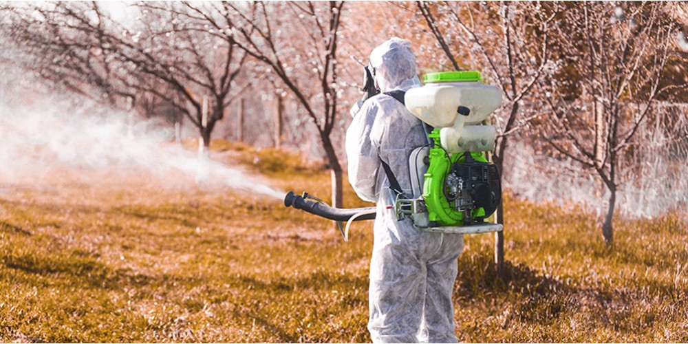 Чем опрыскивать плодовые деревья Чем опрыскивать плодовые деревья