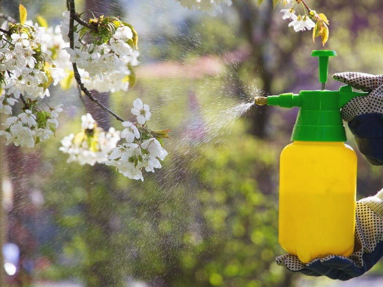 Плодовый сад нуждается в системной защите.