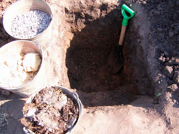 Подготовка почвы к посадке винограда Подготовка почвы к посадке винограда