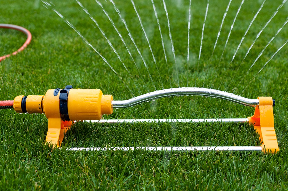 Догляд після підсіву передбачає регулярний полив нових ділянок, особливо якщо осінь суха.