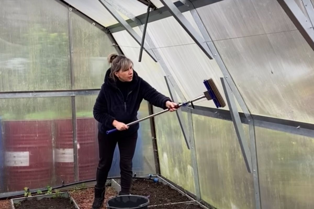 Прибирання в теплиці