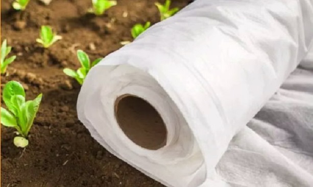 Белое агроволокно