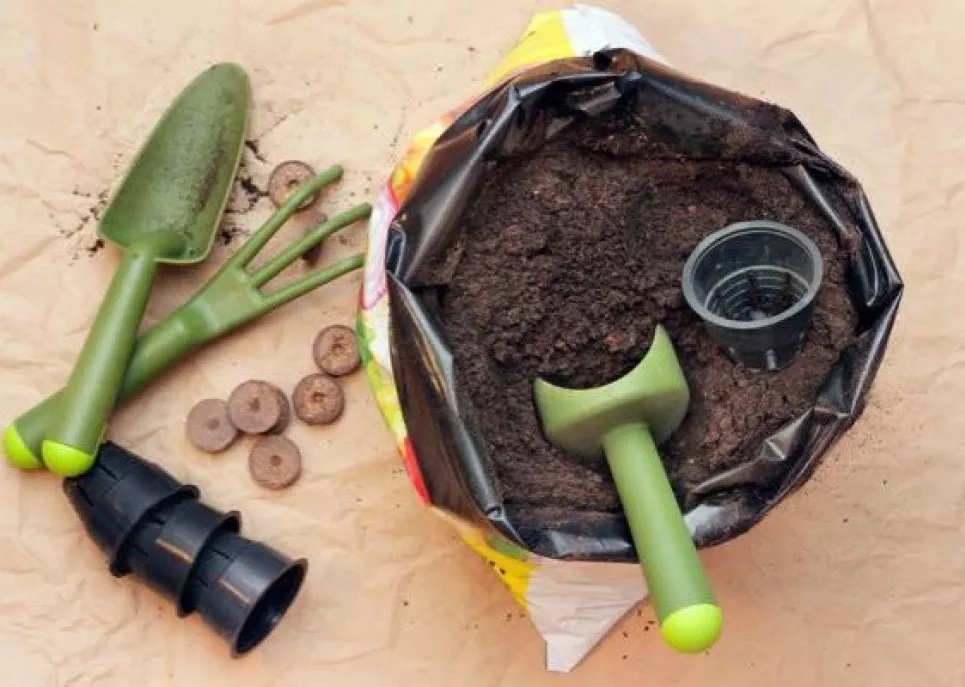 Почва должна быть плодородной и рыхлой. Почва должна быть плодородной и рыхлой.