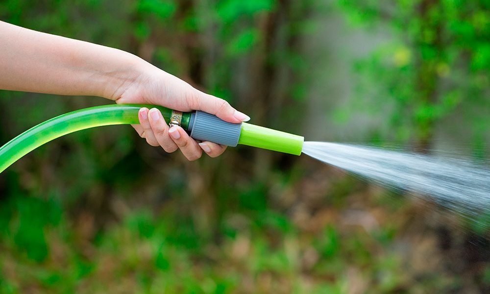 Домашние средства от паутинного клеща Домашние средства от паутинного клеща