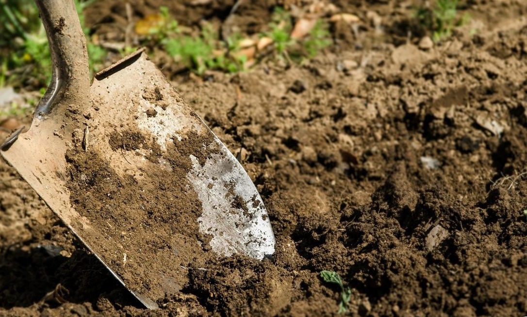 Подготовку почвы нужно проводить осенью