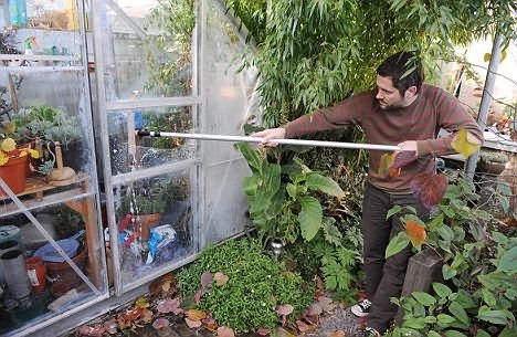 Обробка полікарбонатної теплиці