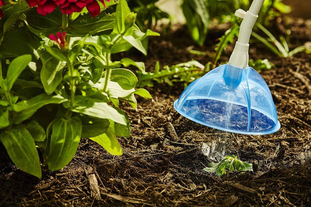 Види гербіцидів