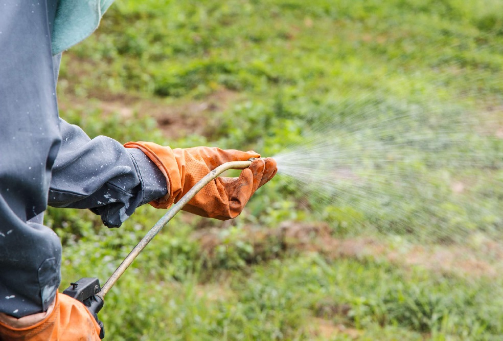 Як правильно застосовувати гербіциди?