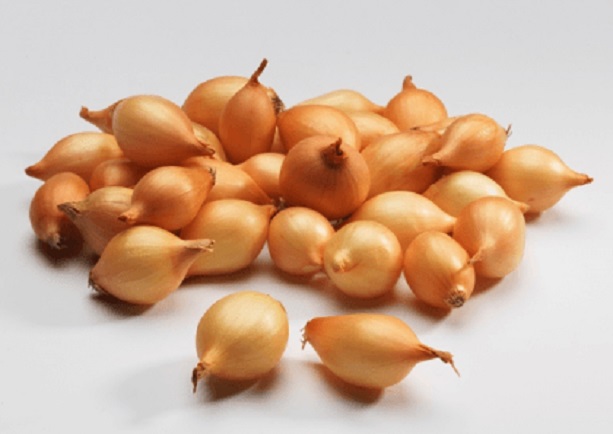 Успех выращивания лука из семян напрямую зависит от качества посадочного материала. Успех выращивания лука из семян напрямую зависит от качества посадочного материала.