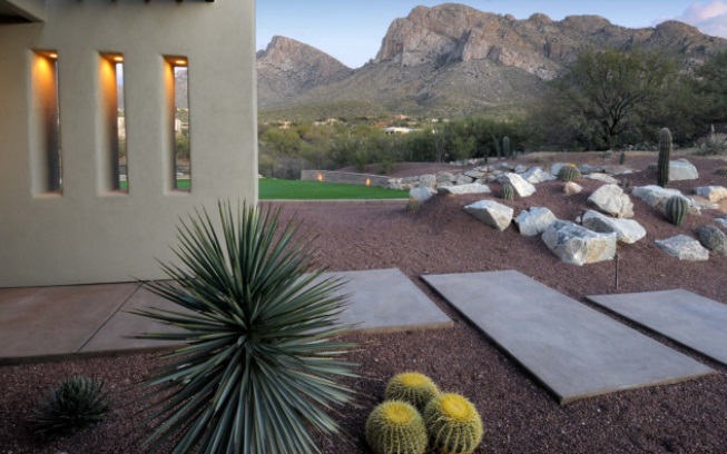 Ксероскейпинг Ксероскейпинг