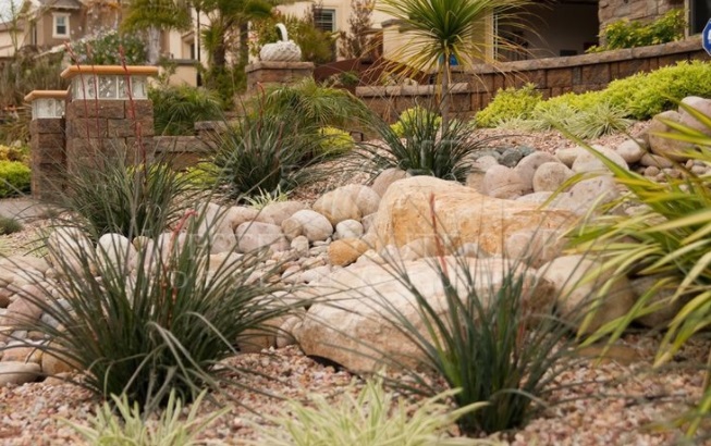 Ксероскейпинг является одним из форм ландшафтного дизайна. Ксероскейпинг является одним из форм ландшафтного дизайна.