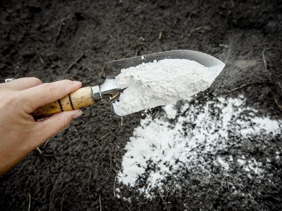 Известкование положительно влияет на структуру почвы.