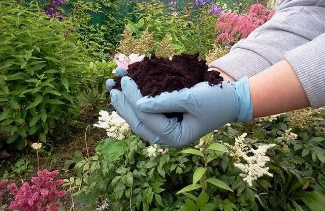 Способы закисления земли