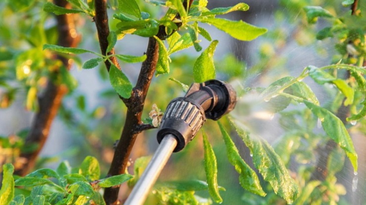 Коли використовувати препарат Хорус Коли використовувати препарат Хорус