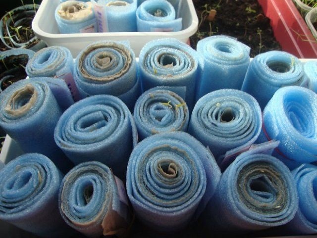 Як правильно зберігати пелюшки?