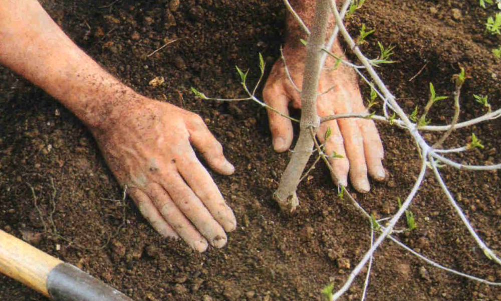 Подготовка места