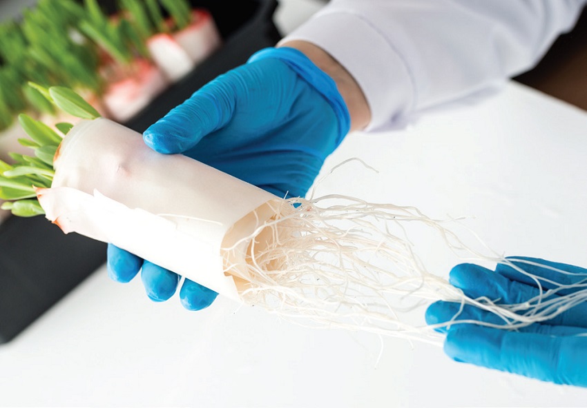 Хранение семян