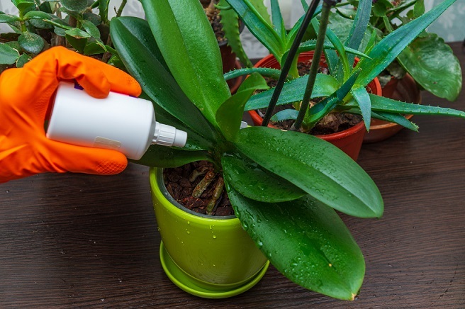 Работая с любыми средствами для уничтожения вредителей, обязательно необходимо заботиться о собственной безопасности.