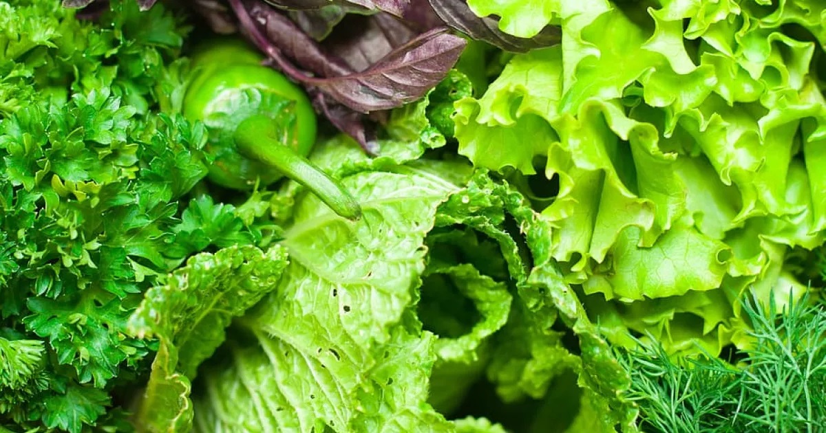 Свежая, ароматная зелень из собственного огорода или подоконника – это не только вкусно, но и очень полезно.