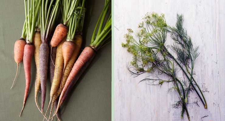 Морковь и укроп Морковь и укроп