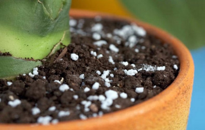 Особенности использования сульфата аммония