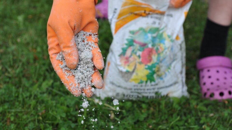 Сульфат аммония – популярный вид подкормки