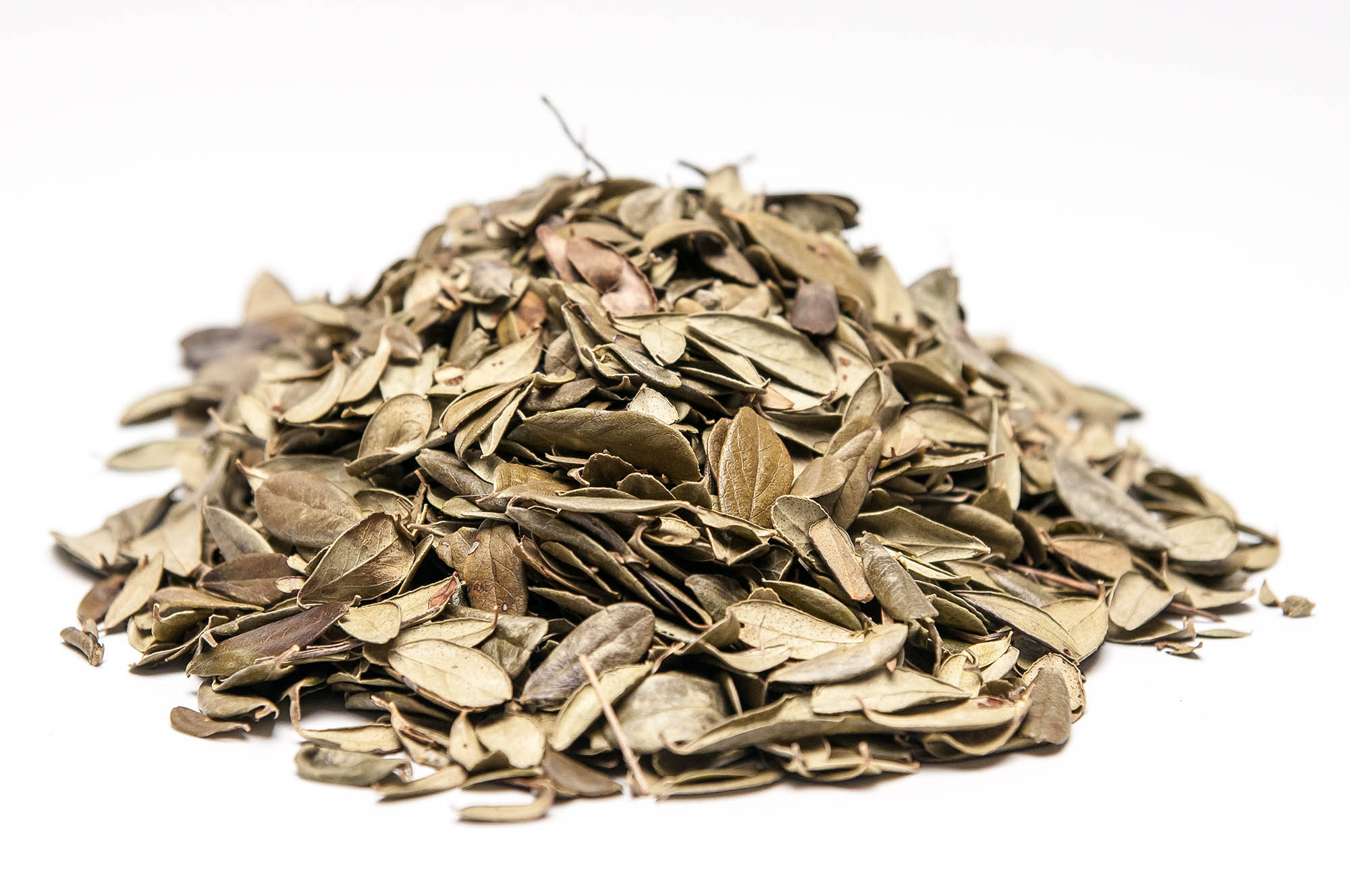 Полезные свойства и лечение листьями брусники