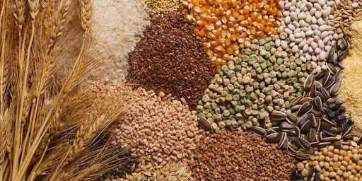 Семена необходимо покупать у известных производителей или на официальных сайтах.