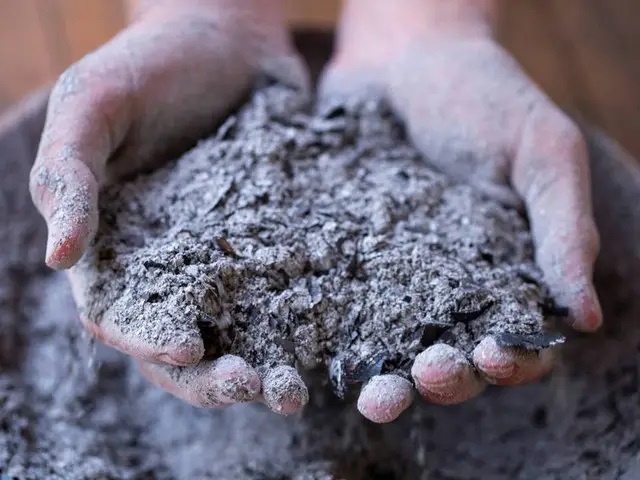 У складі золи містяться такі важливі компоненти як фосфор, залізо, цинк, кальцій, сірка, які швидко засвоюються рослинами.