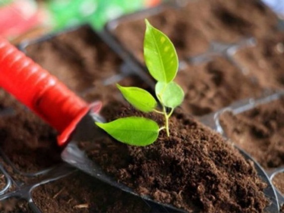 Использование грунта в Шотландии