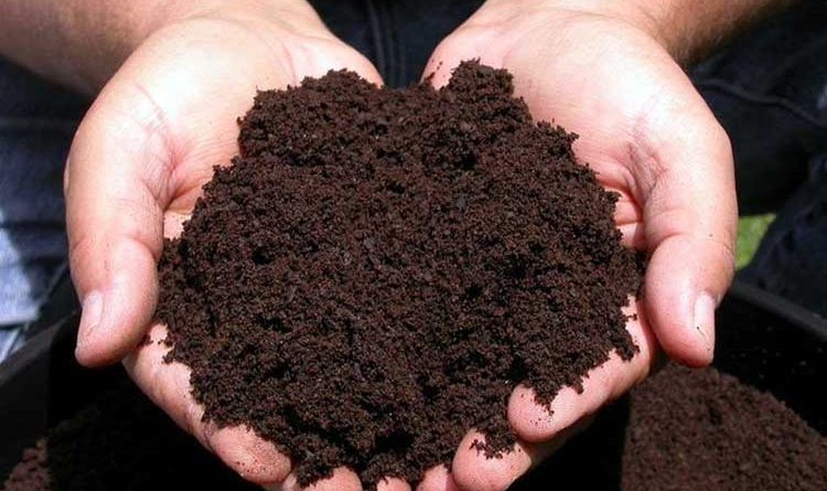 Полезные свойства торфа