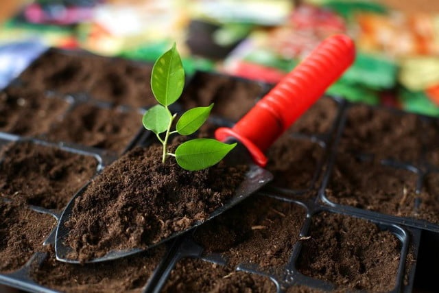 Торф активно используется во многих областях.