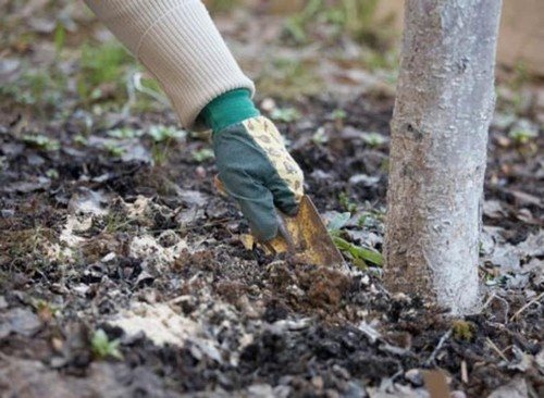 Виды удобрений 