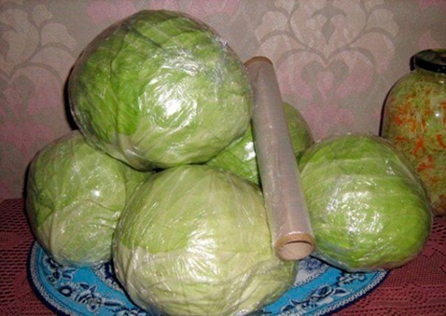 Як правильно зберігати капусту у домашніх умовах? Як правильно зберігати капусту у домашніх умовах?